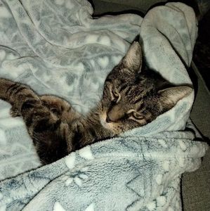 Meet your Posher, Kris